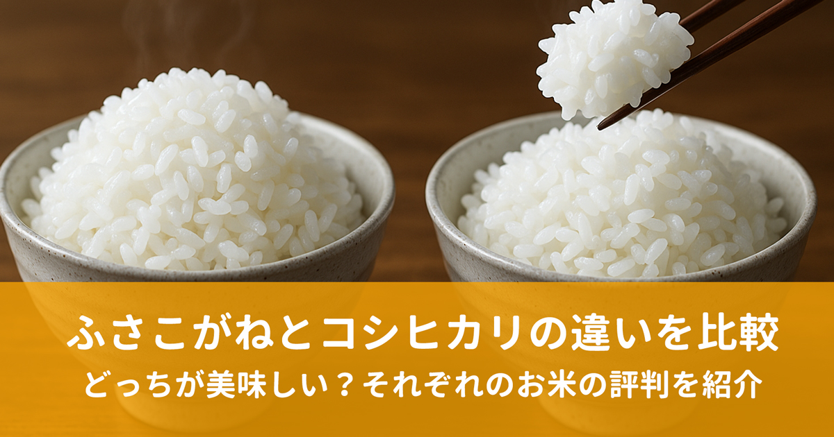 ふさこがねとコシヒカリの違いを比較。どっちが美味しい?それぞれのお米の評判を紹介します