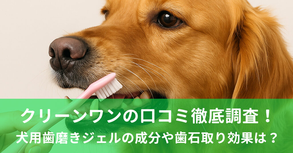 クリーンワンの口コミ徹底調査！犬用歯磨きジェルの成分や歯石取り効果は？